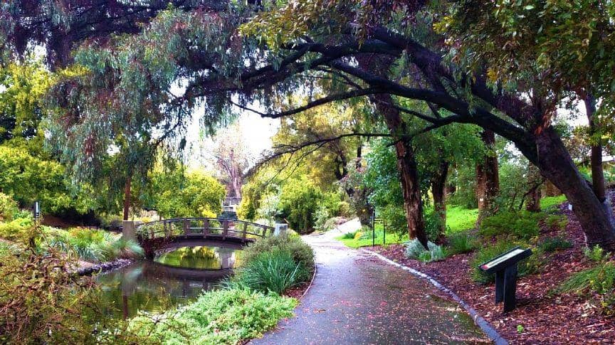 UC Davis Arboretum