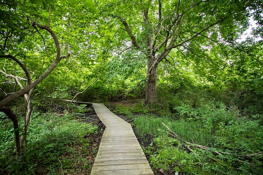 Wooded Walking Trails