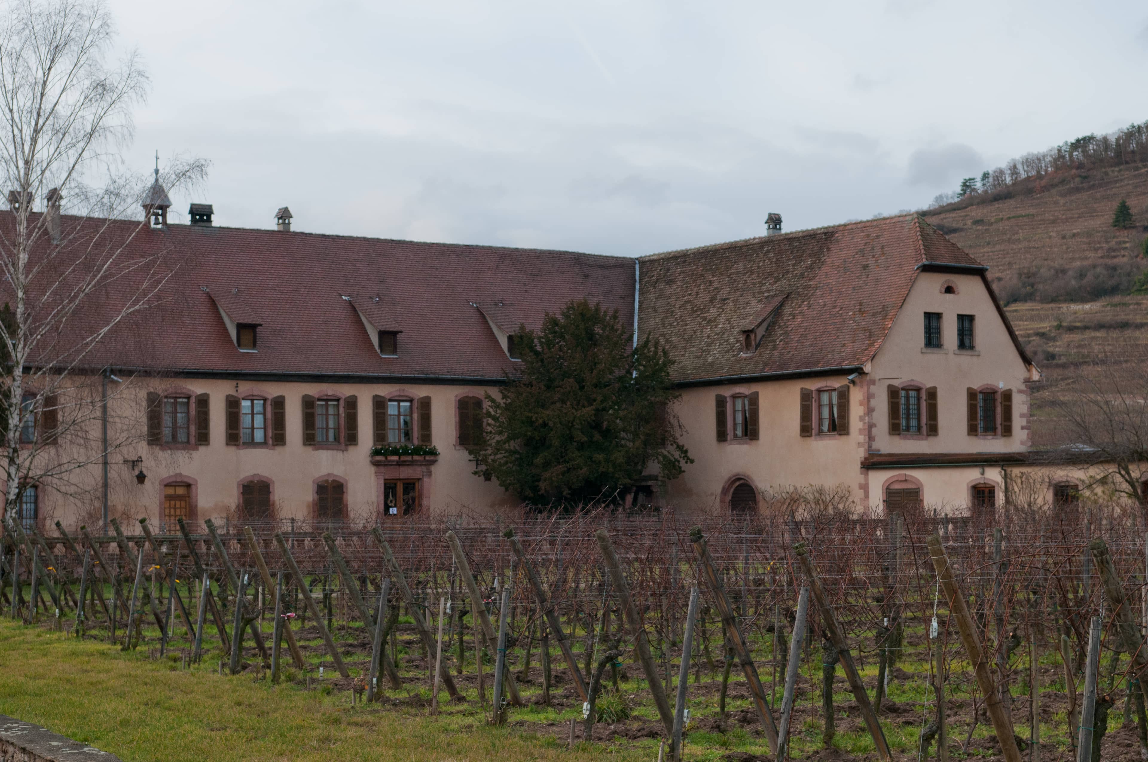 Alsace Village Charm