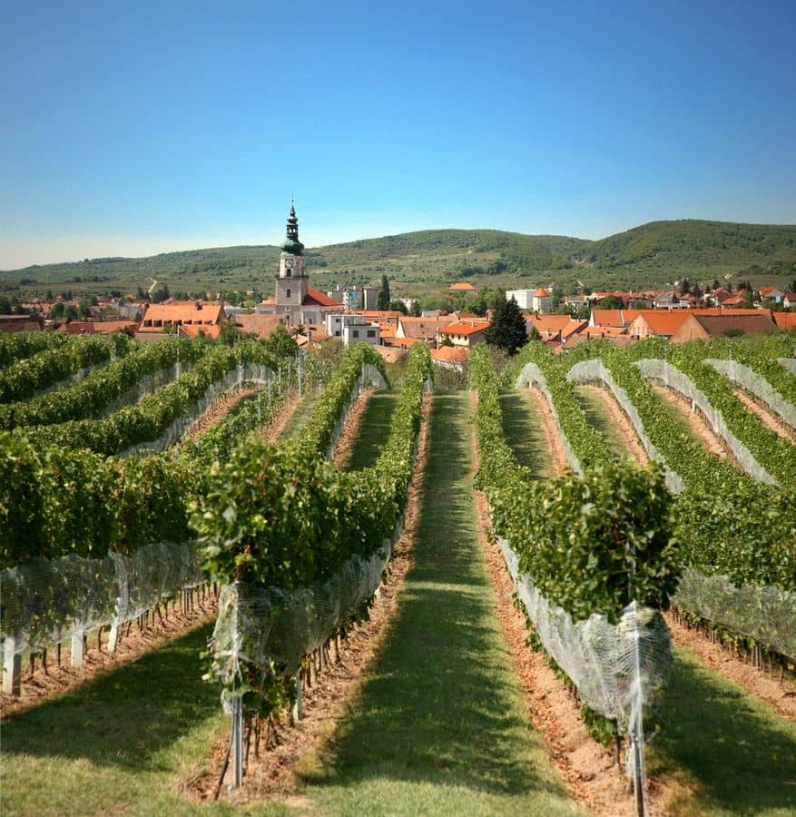 Malokarpatská Wine Route