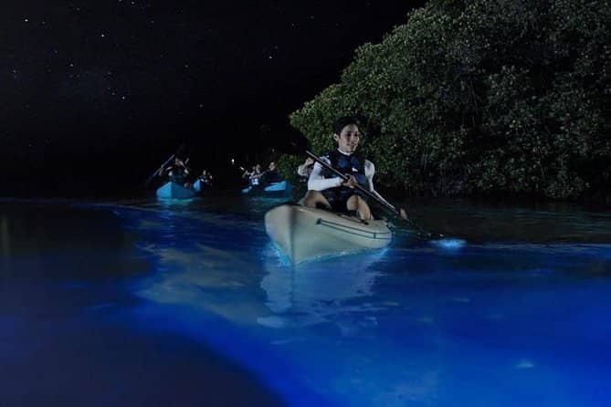 Bioluminescence (Seasonal)