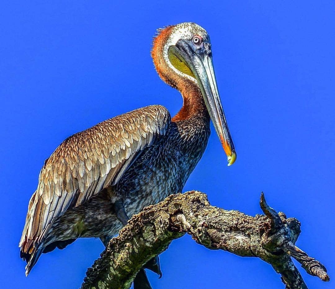 Biodiversity Hotspot