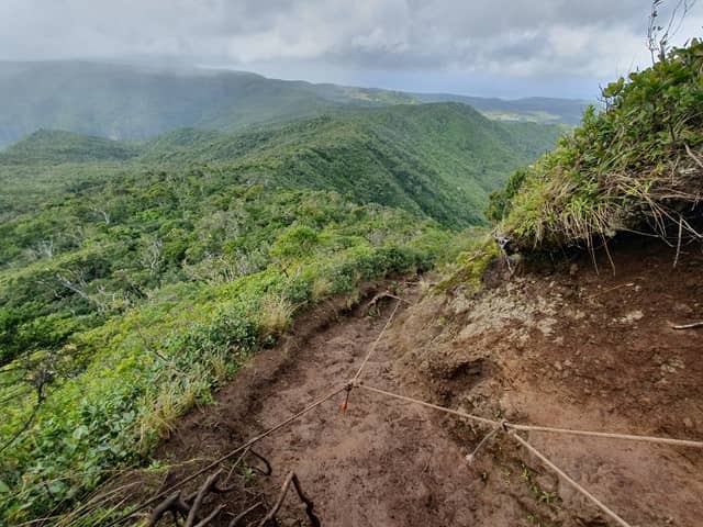 Natural Stairway