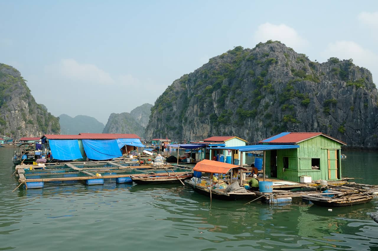 Ha Long Marina Street Fest