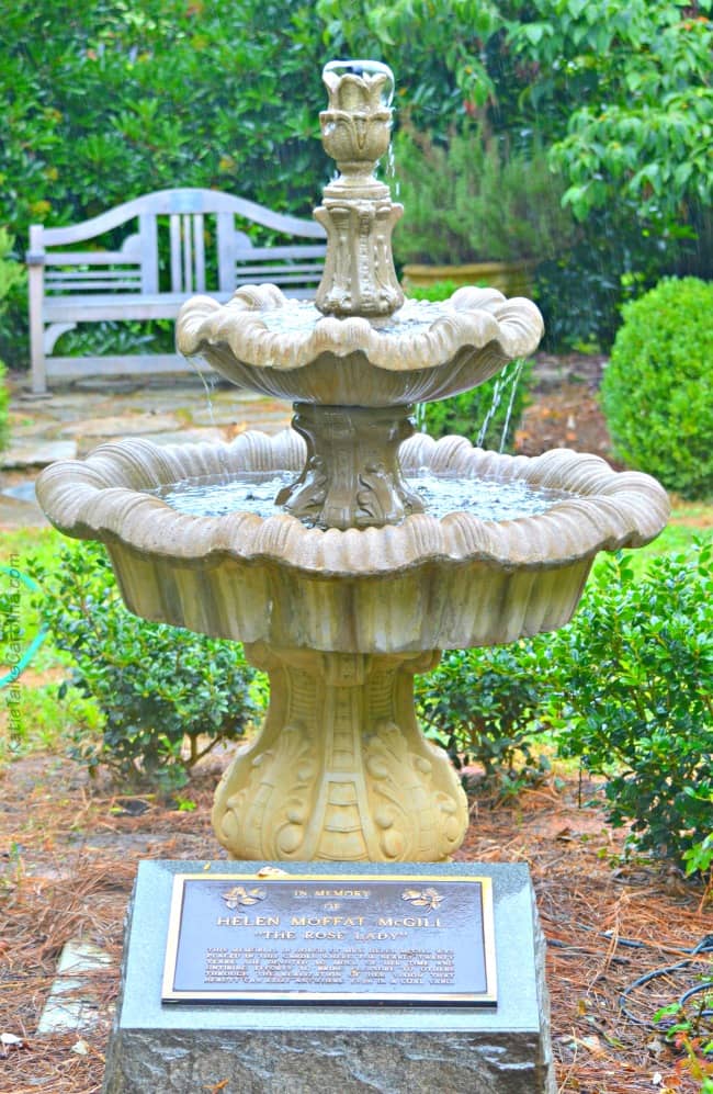Fountain Serenity