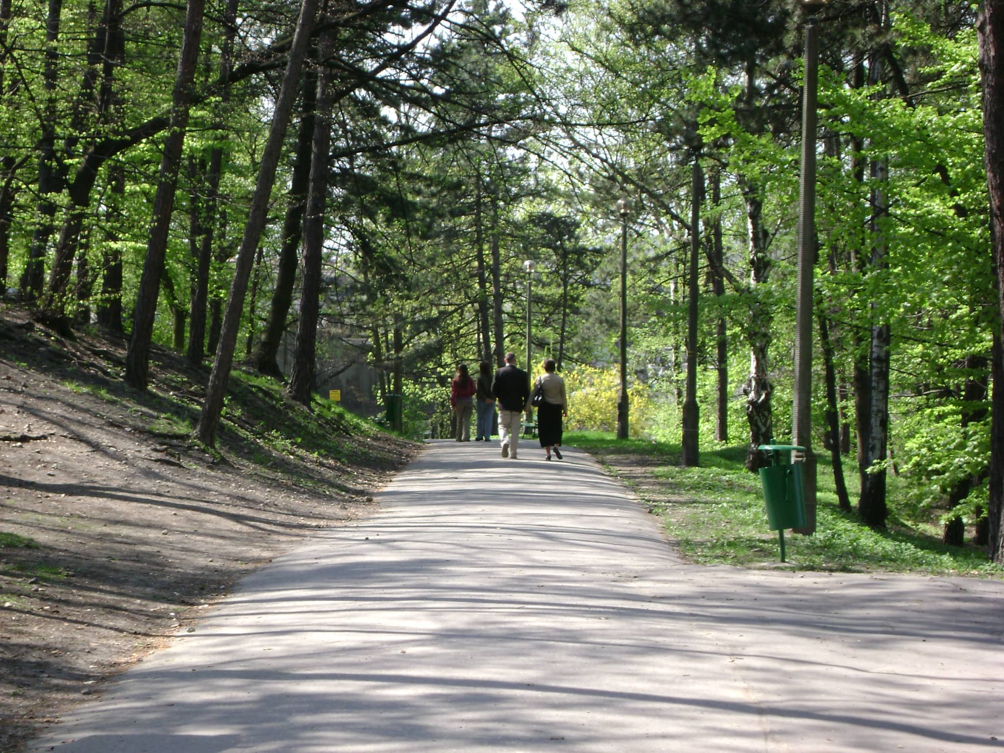 Scenic Walking Paths