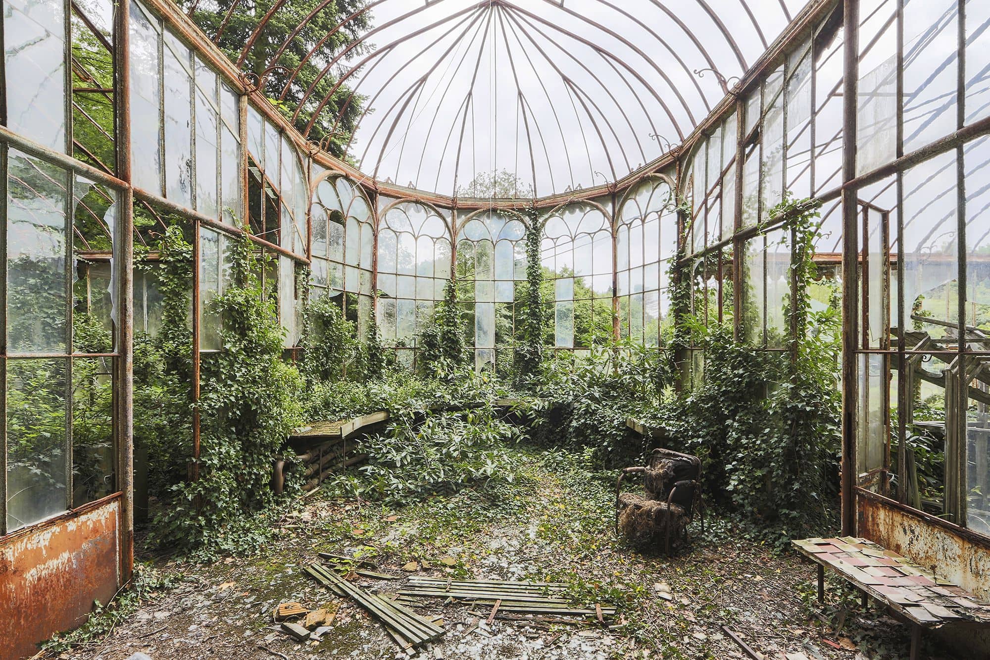 Overgrown Nature