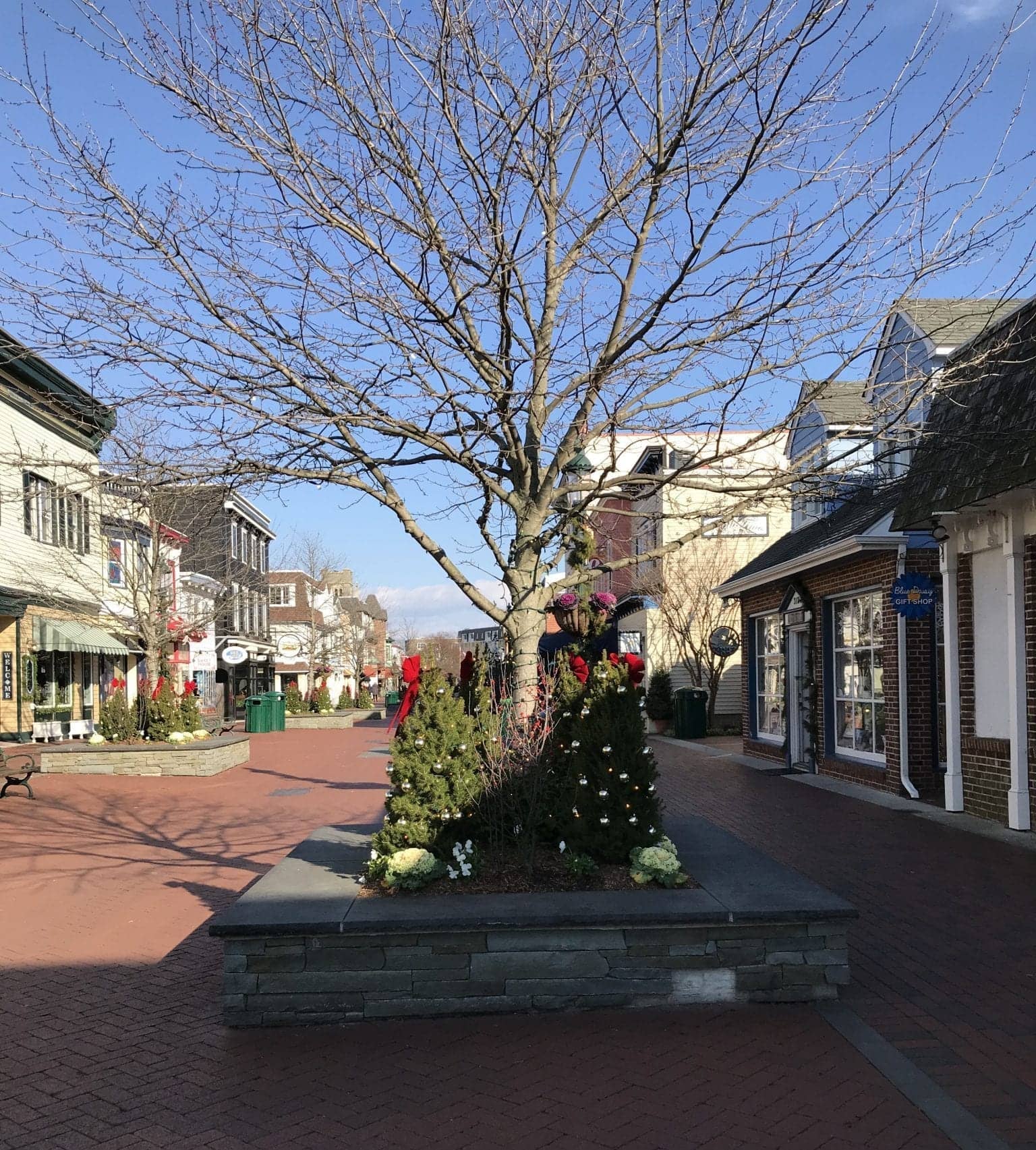 Upscale Shopping & Dining
