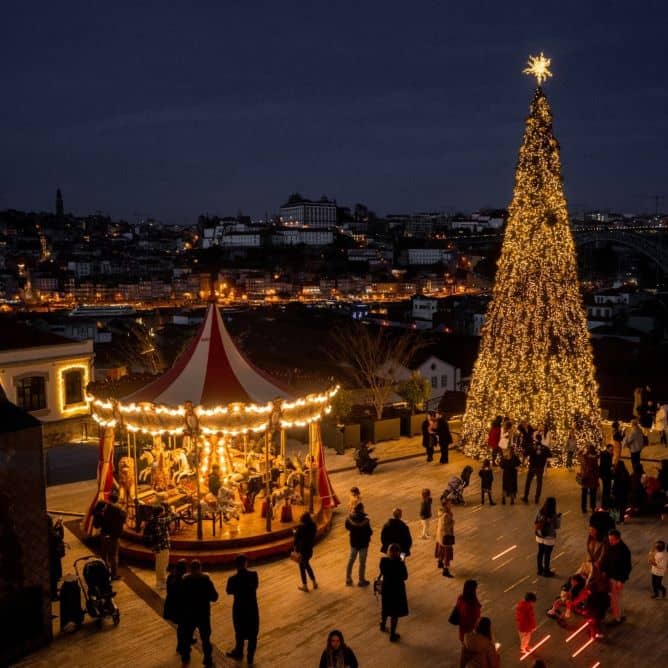 Christmas Market Magic