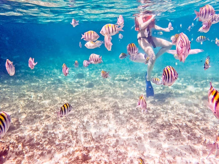 Snorkeling Adventures