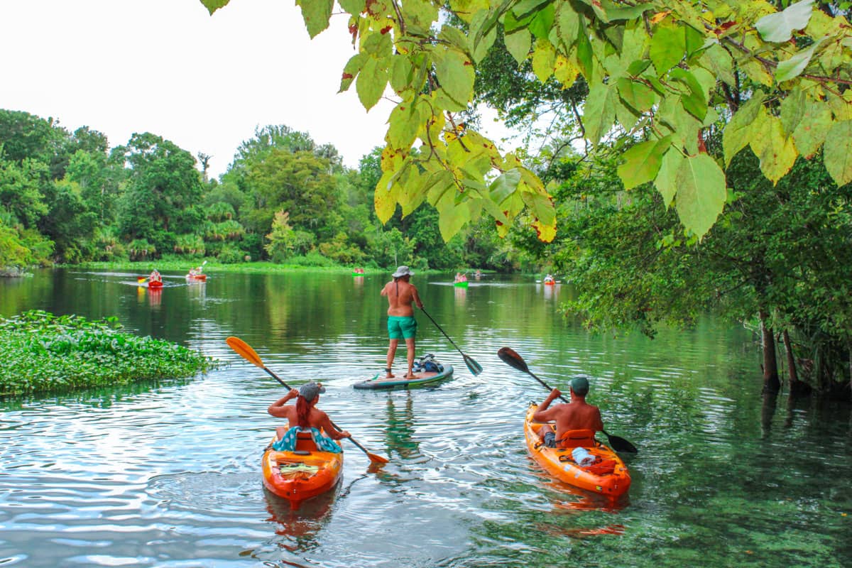 Wekiwa River Kayaking