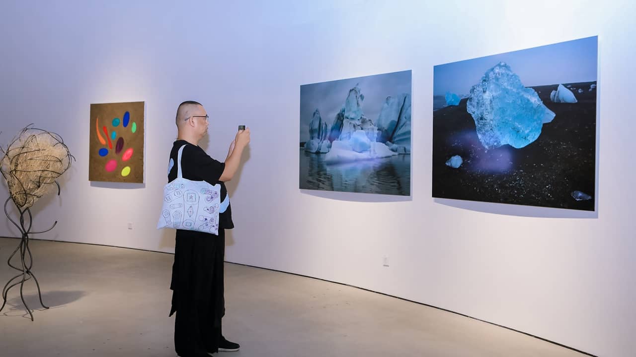 Contemporary Art Exhibitions