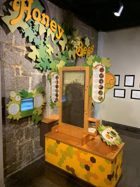 Interactive Exhibits