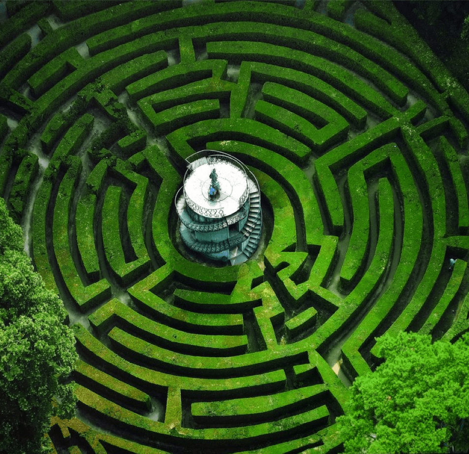The Enigmatic Hedge Maze