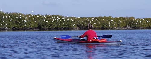 Kayaking & Canoeing Canals