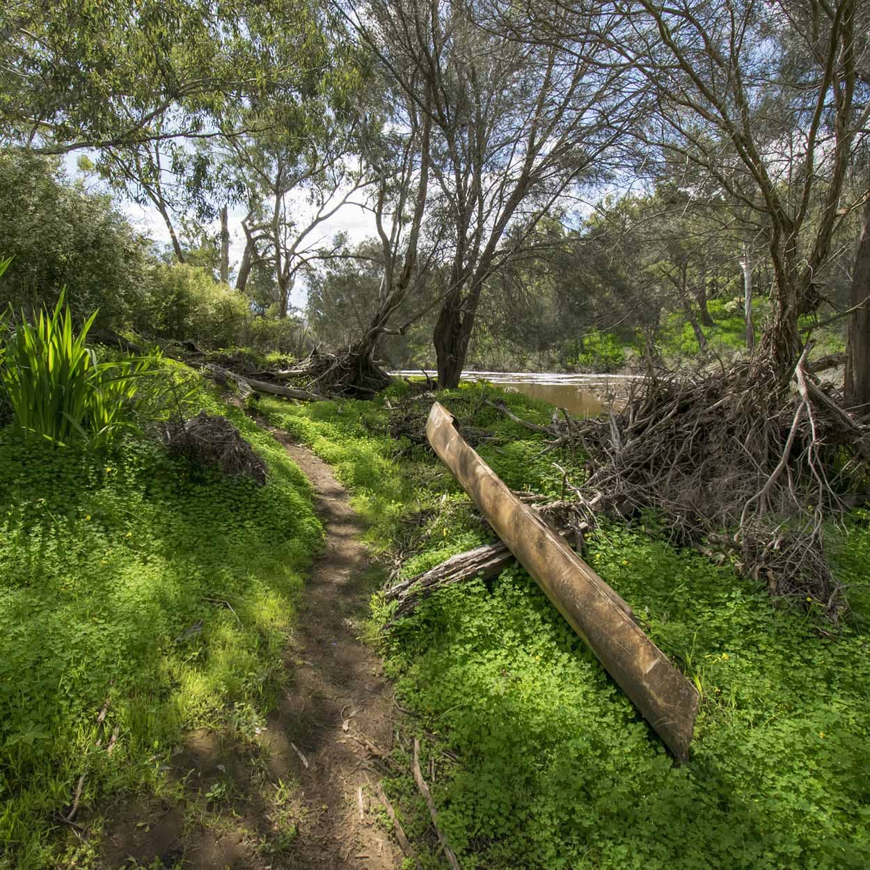 Scenic River Trails