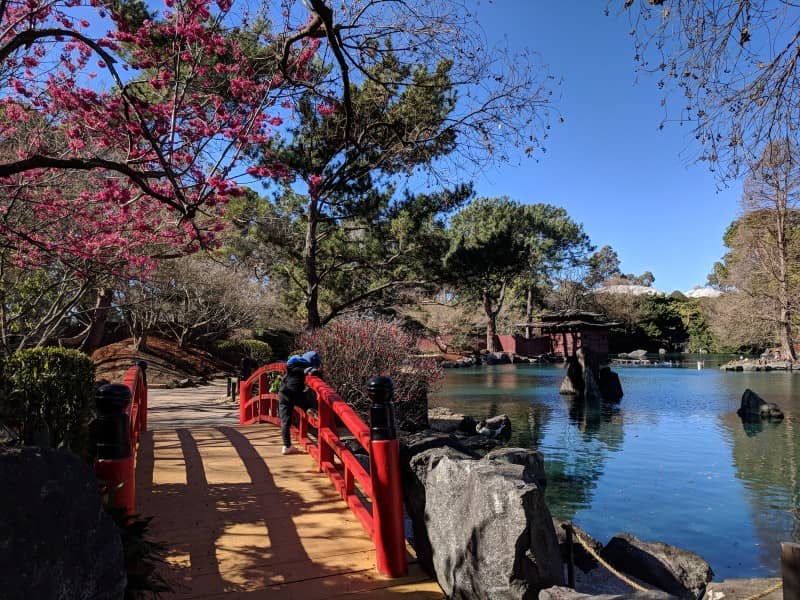 Fauna Reserve & Aviary