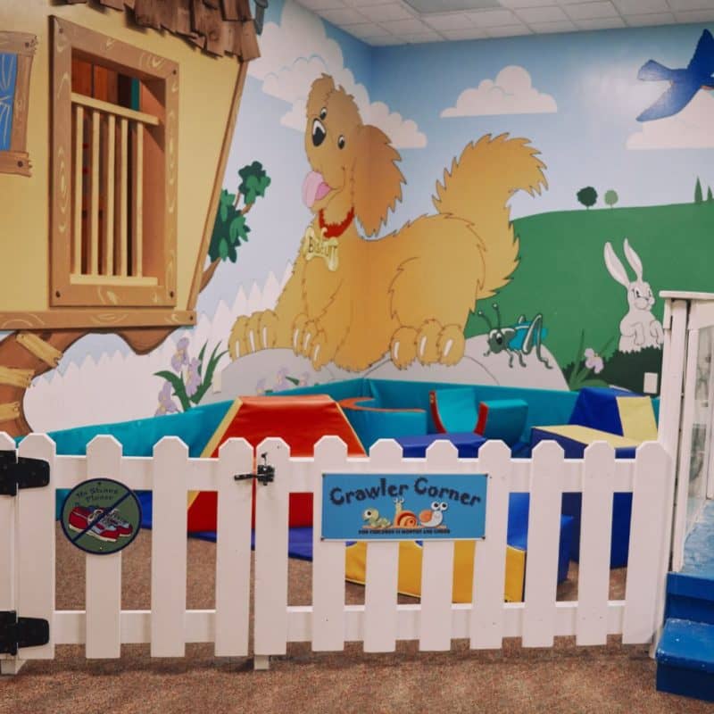Biscuit's Backyard