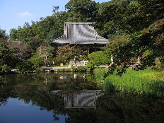 Scenic Lake Setting