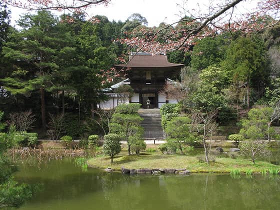 Serene Pond