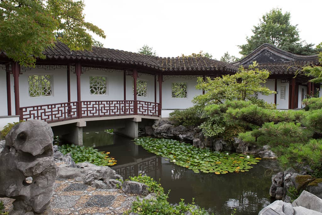 Tranquil Garden Setting