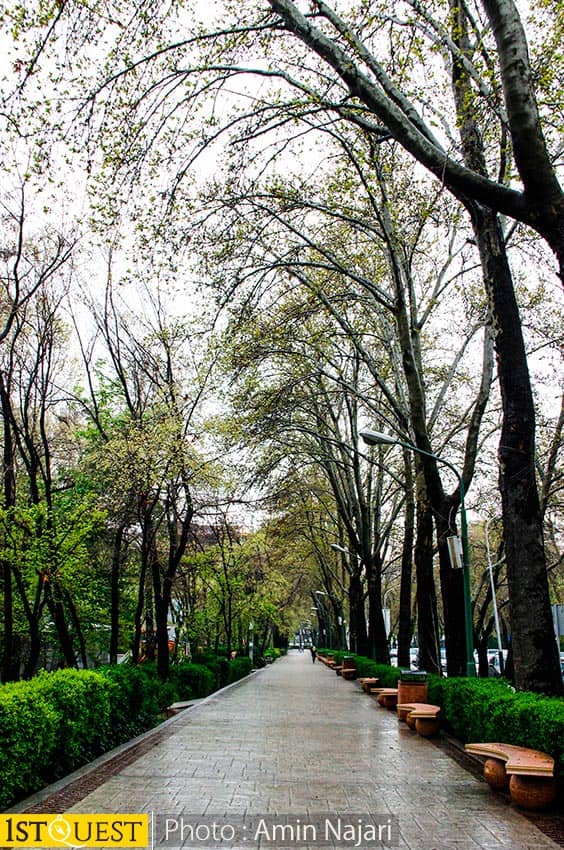 Stone-Paved Pathways