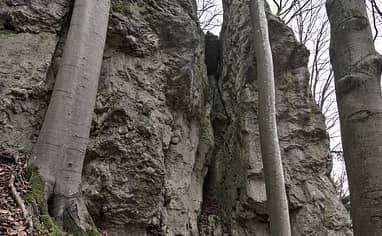 Old Quarry Site