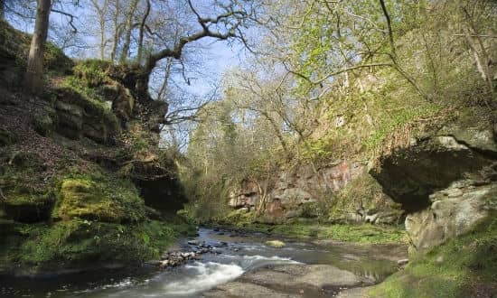 Roslin Glen Walk