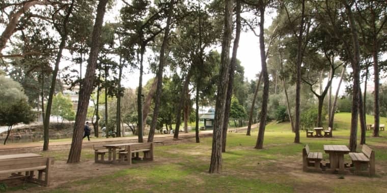 Picnic Paradise