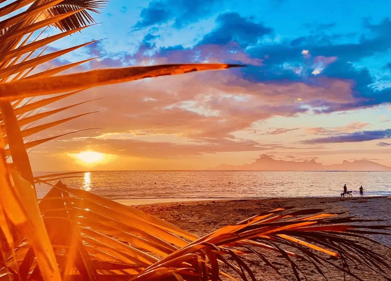 Sunset Views