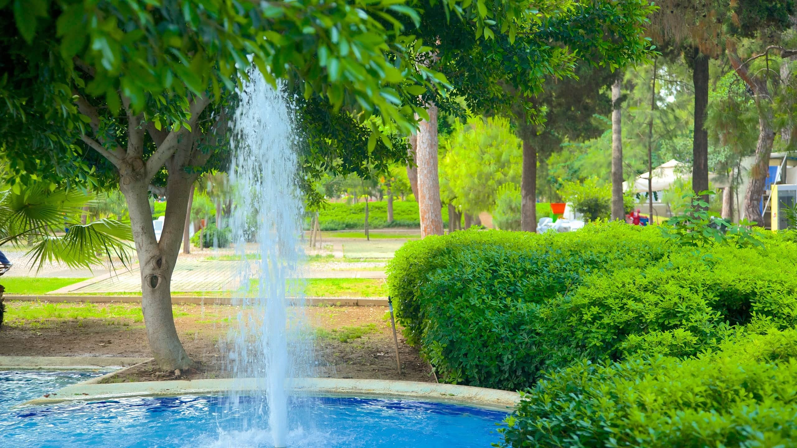 Lush Greenery and Gardens