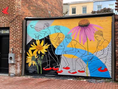 Rose Jaffe's 'Let Go'
