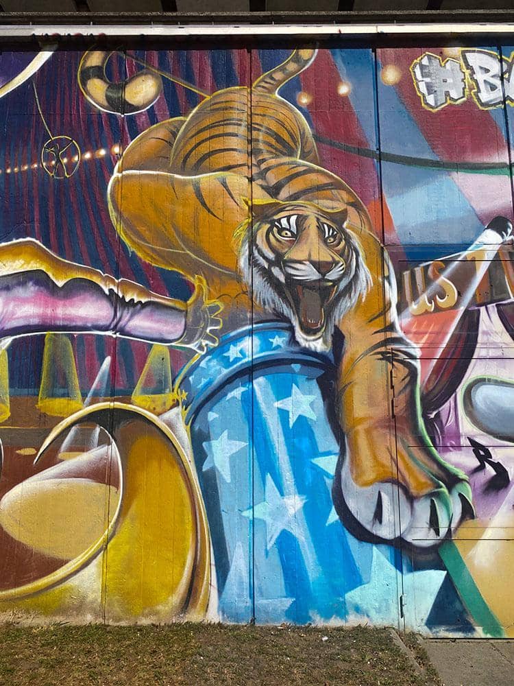 Urban Art Transition