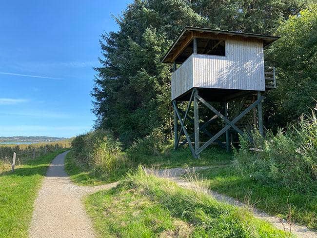 Bird Observation Towers