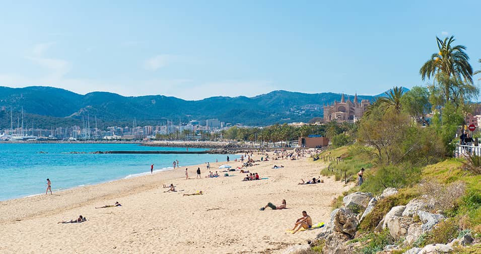 Spacious Sandy Shore