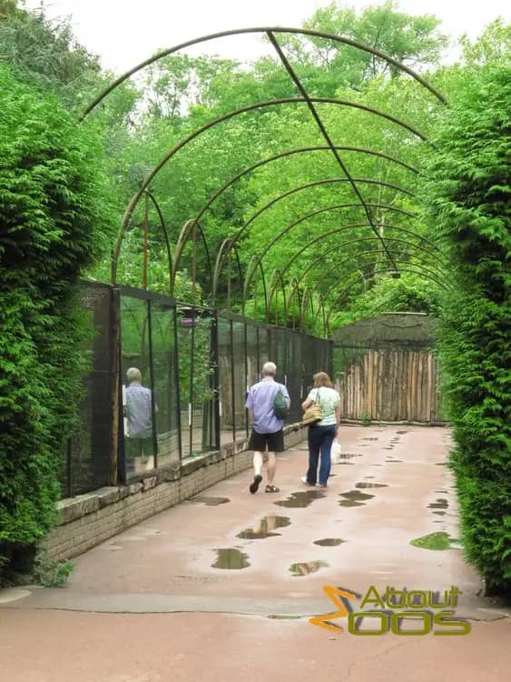 Aviary Walk-Through