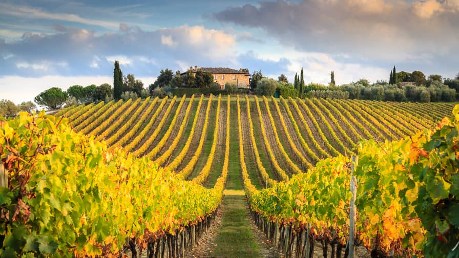 Local Wineries