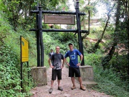 Lush Forest Trails