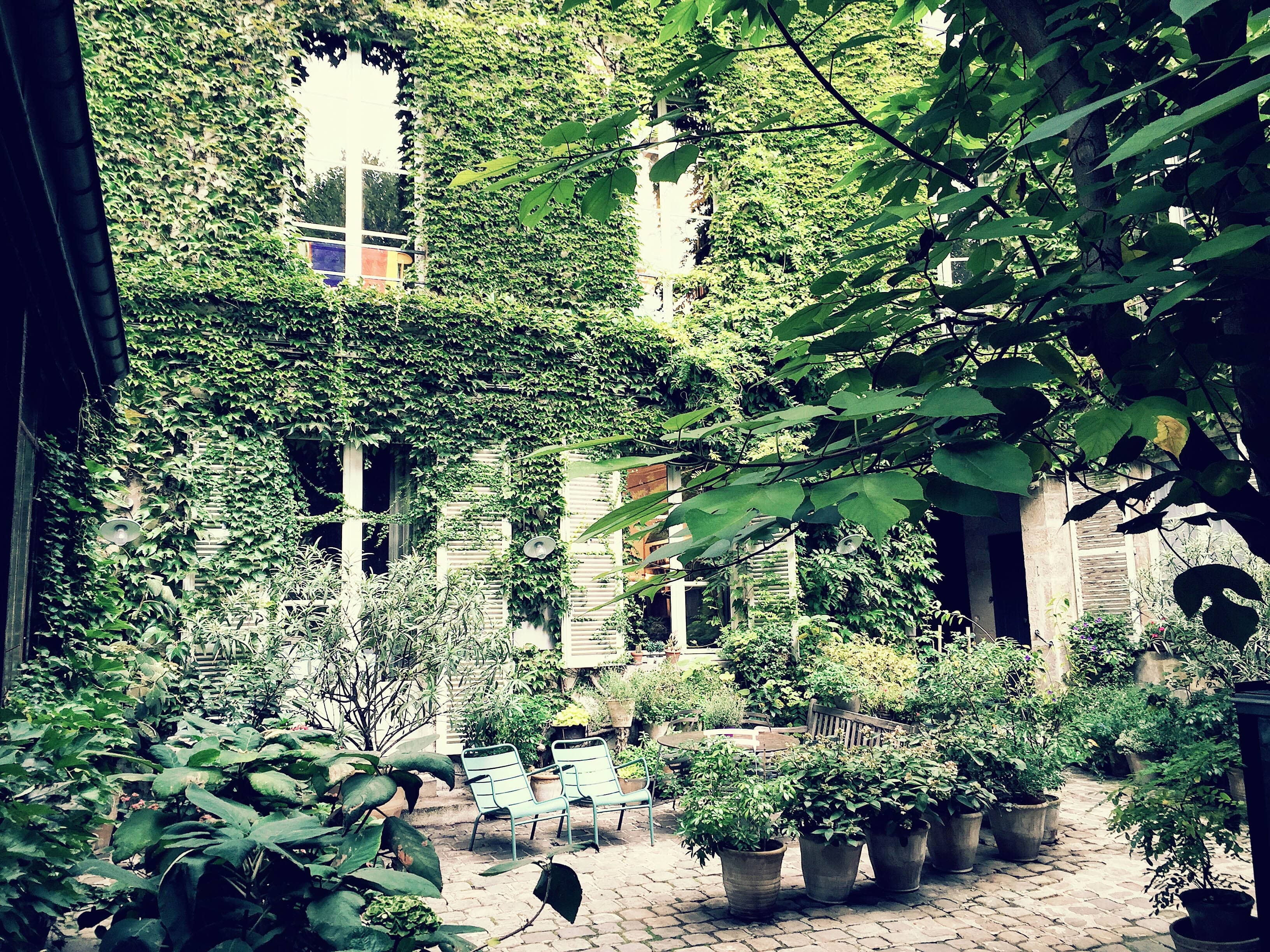 Hidden Courtyards