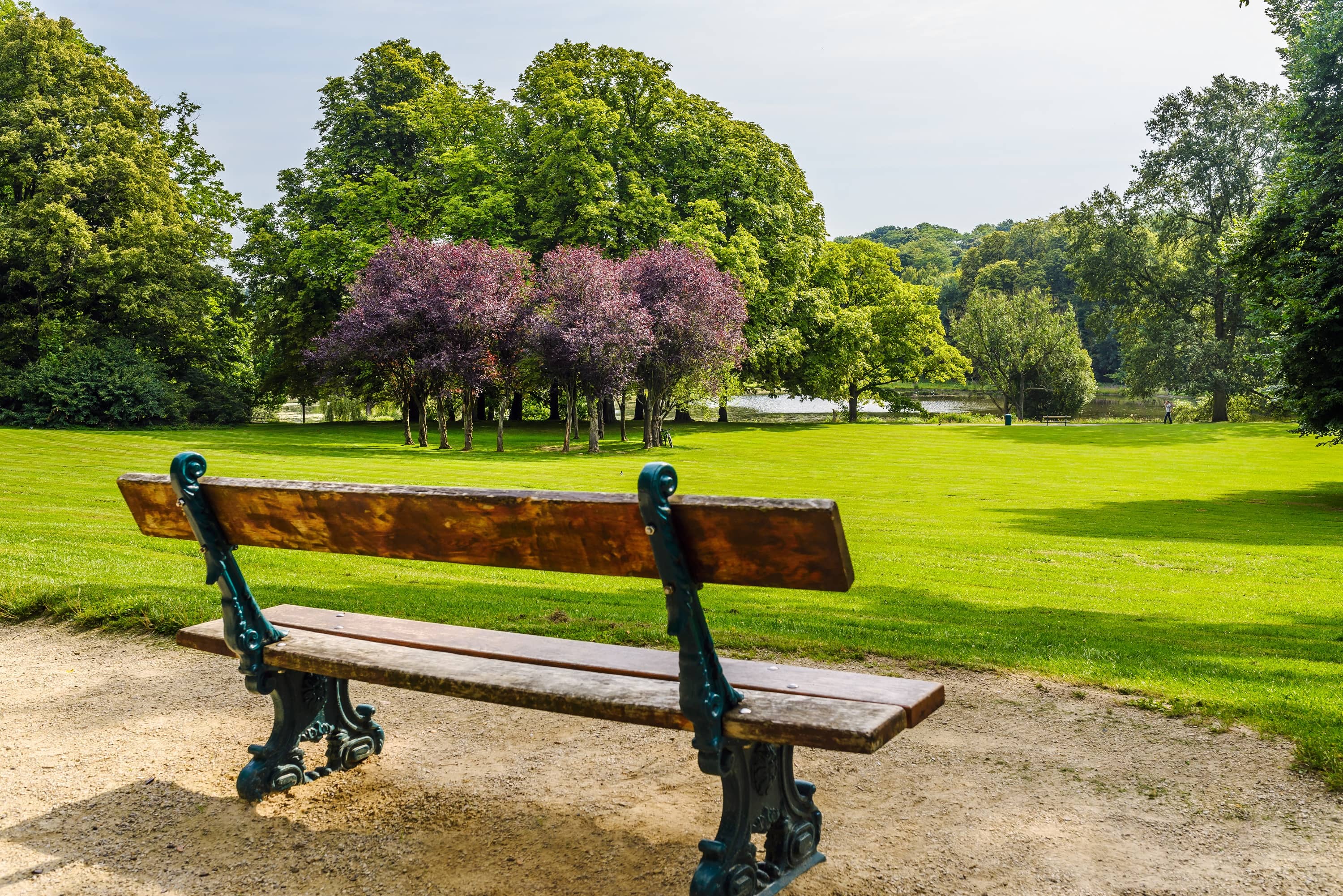 Lush Green Lawns