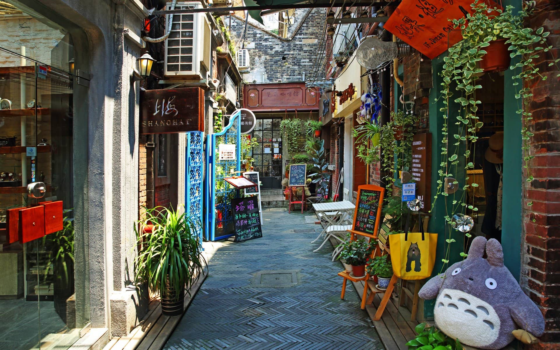 Cozy Cafes & Eateries