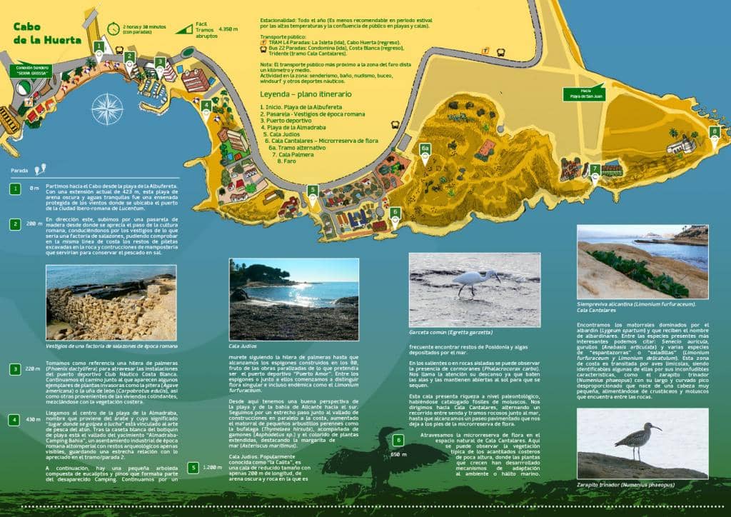Coastal Hiking Trails