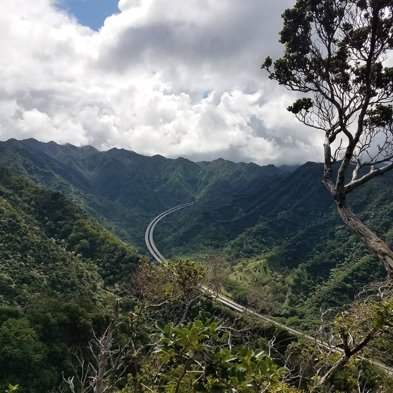 H3 Freeway Views