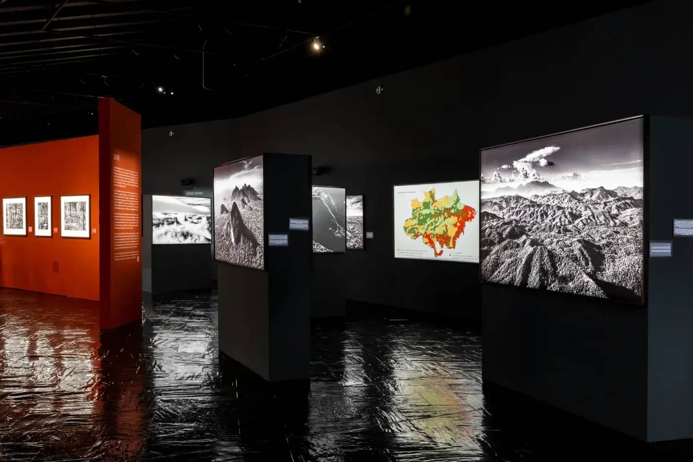 Amazonia Exhibition