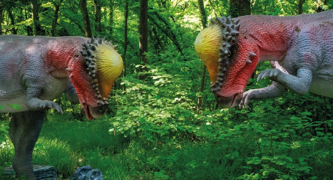Dinosaur Trail