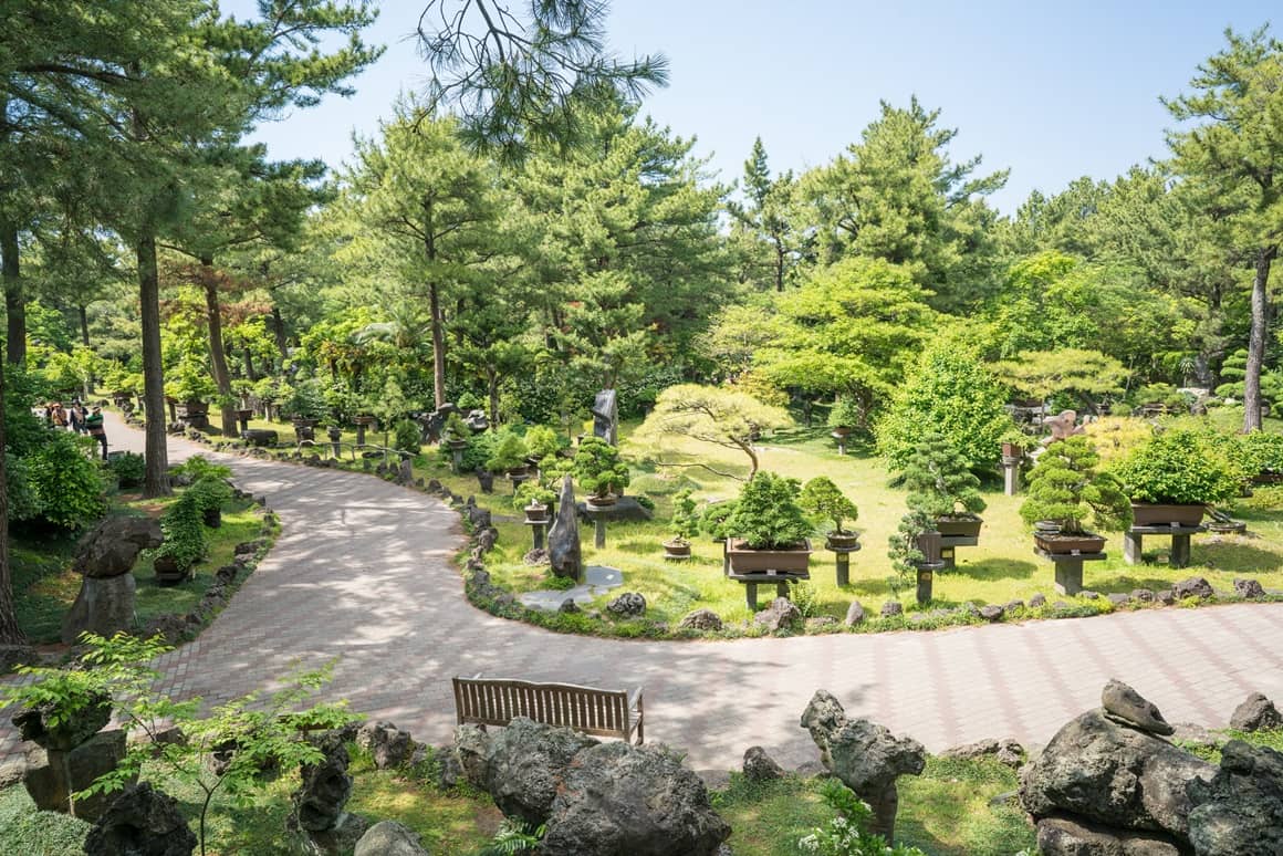 Bonsai Garden