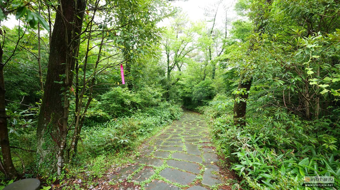 Walking Trails