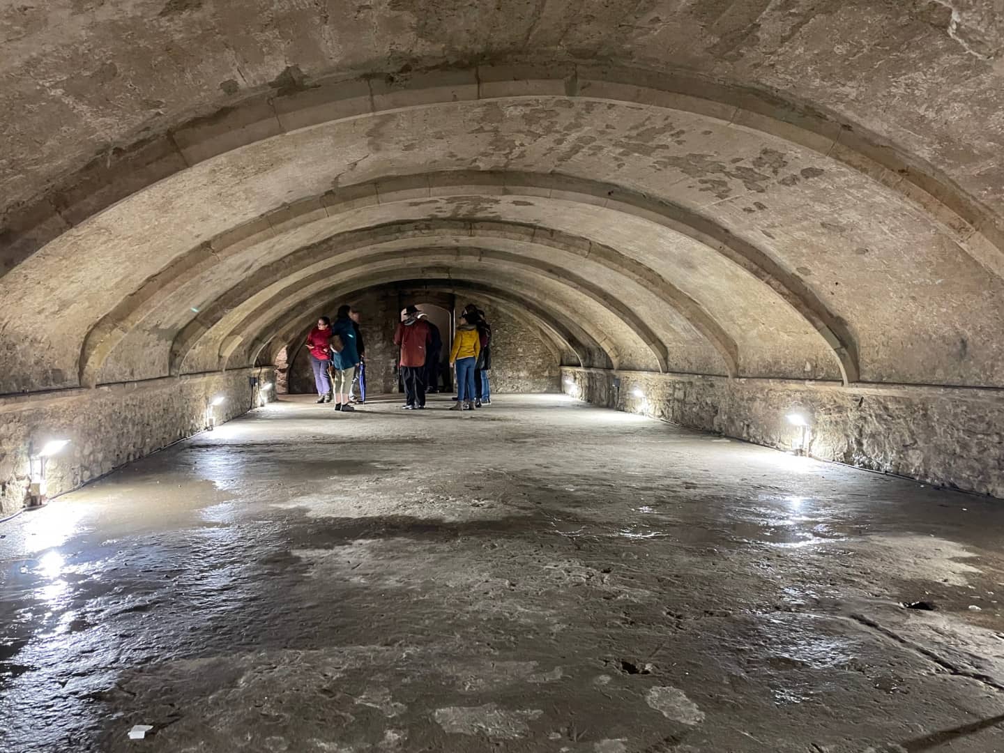 Medieval Vaults