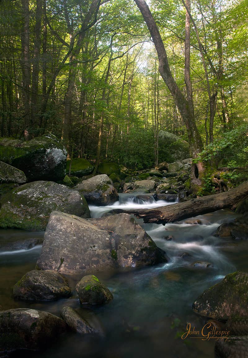 Middle Saluda River
