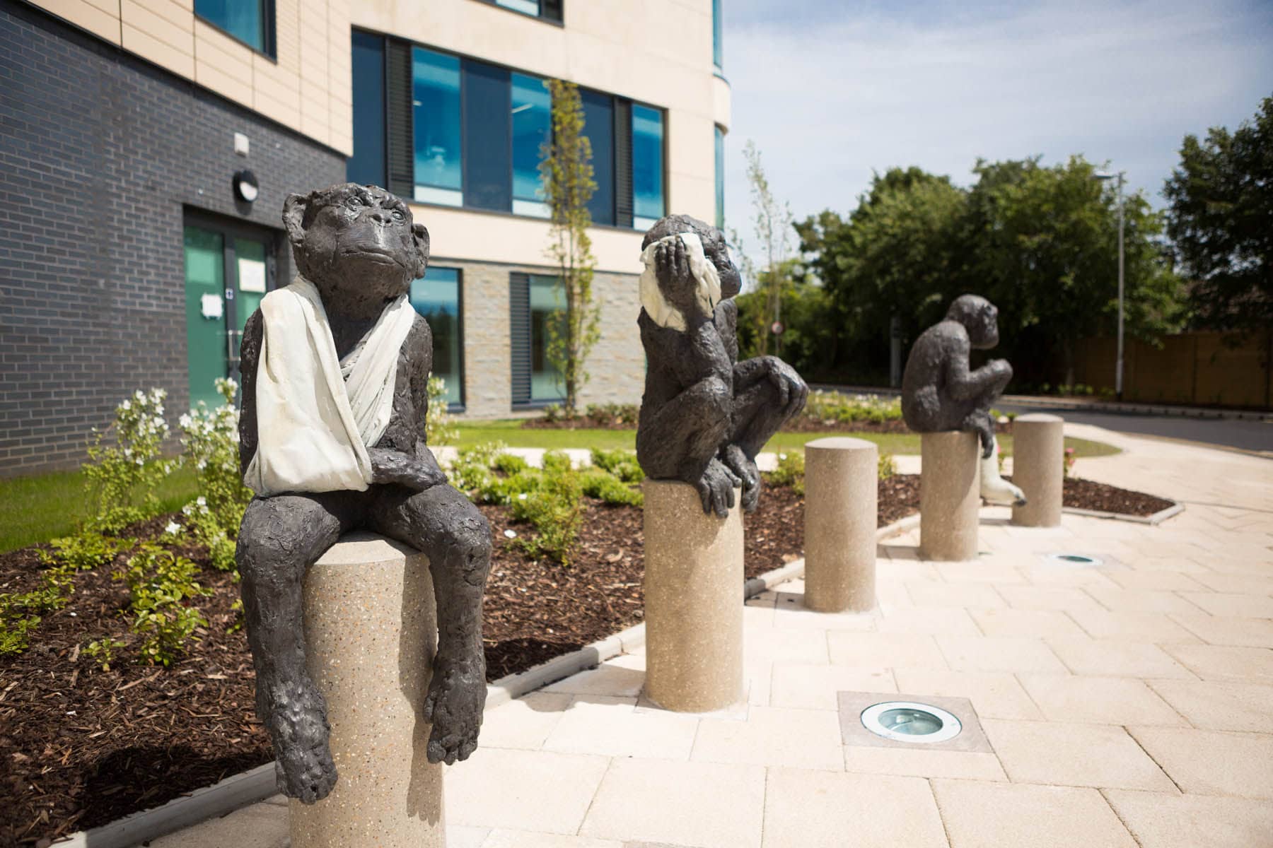Sculpture Garden